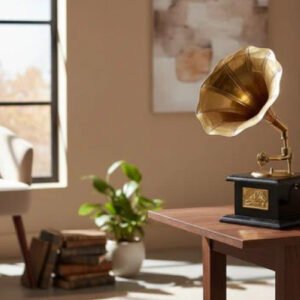 Antique Brass & Wood Gramophone